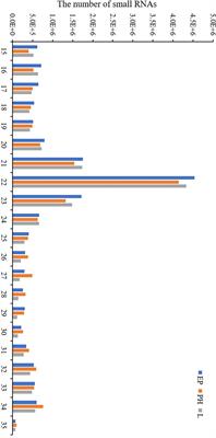 Identification and Profiling of MicroRNAs During Embryogenesis in the Red Claw Crayfish Cherax quadricarinatus